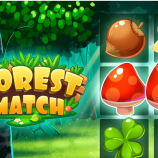 Forest Match img