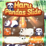Haru Pandas Slide img