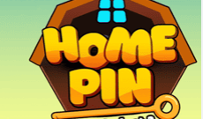 Home Pin 1