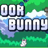 Poor Bunny img