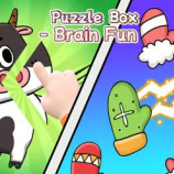 Puzzle Box Brain Fun img