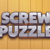 Screw Puzzle