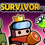 Survivor io img