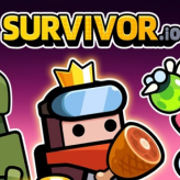 Survivor io